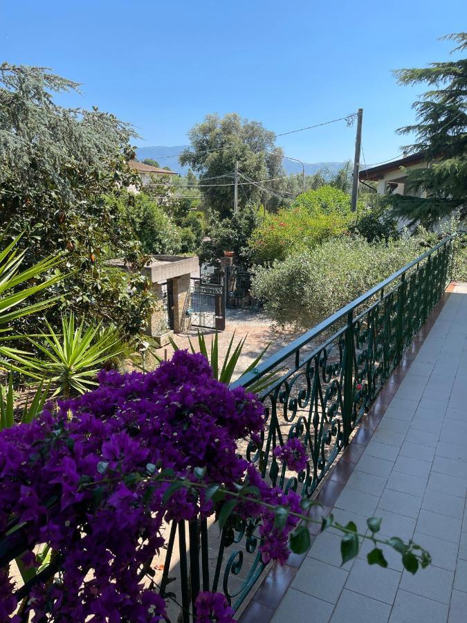 Agriturismo Al Gallo Verde Altavilla Silentina Ngoại thất bức ảnh